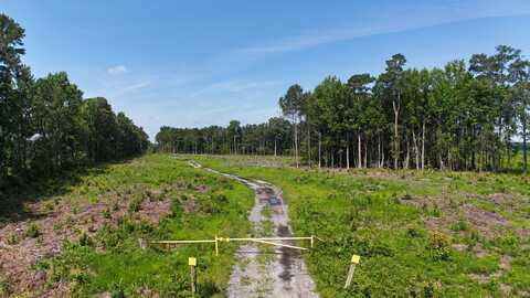 0 Luther Brown Road, Colerain, NC 27924