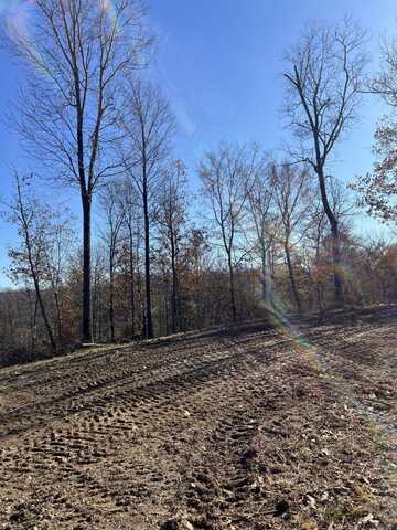 91 D Rolling Hills Rd, Lobelville, TN 37097