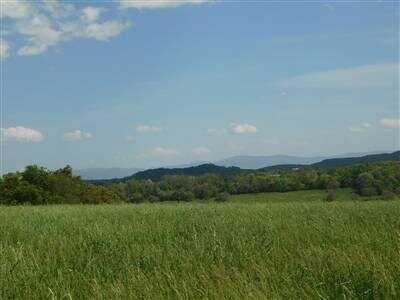 0 Whitney Lane, Bridgewater, VA 22812