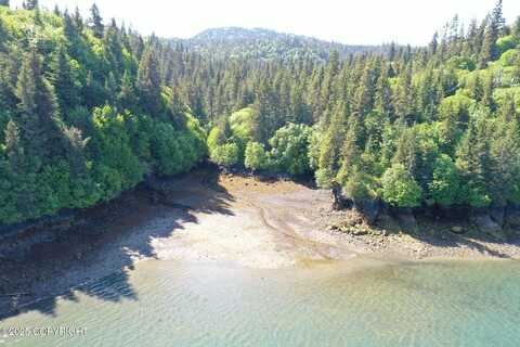 000 Halibut Cove, Halibut Cove, AK 99603
