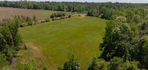 0 Friendship Church Road, Bartow, GA 30413
