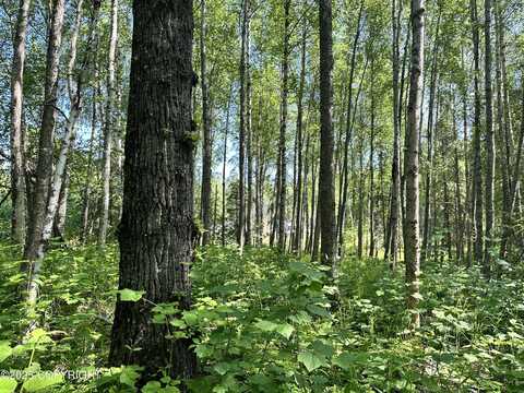 15282 W 5th Street, Wasilla, AK 99623