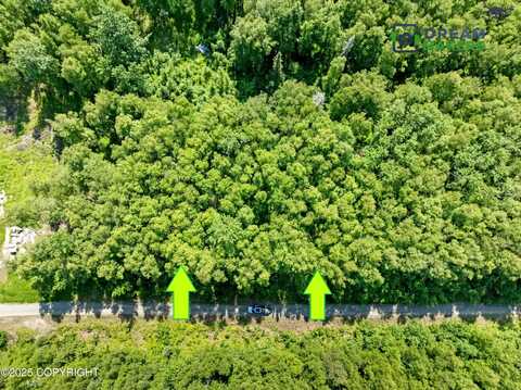 15282 W 5th Street, Wasilla, AK 99623