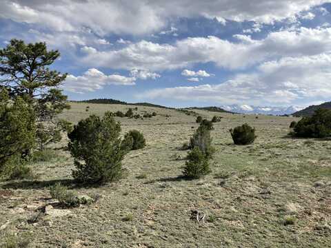 705 Riggs Rd, Westcliffe, CO 81252