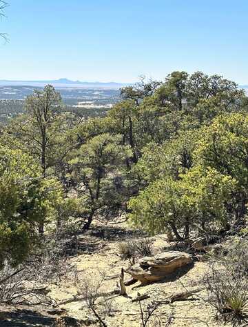 27 N Ranchero, Pie Town, NM 87827