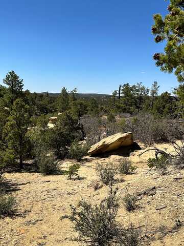 XX N Ranchero Rd, Pie Town, NM 87827