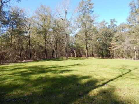 0 Broad Branch Rd., Chunchula, AL 36521