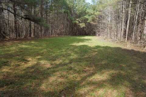 0 Burroughs Road, Greensboro, AL 36744