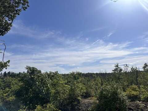 0 Mt. Holly Rd, Montrose, VA 22520