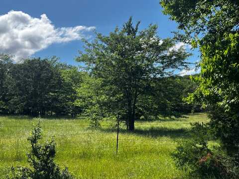 000 Freds Fish Camp Rd, Stringtown, OK 74569