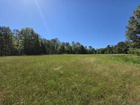 Reedy Branch Rd., Shottsville, AL 35582