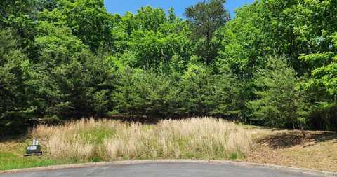 8028 Mountain Ridge Rd, Mooresburg, TN 37811