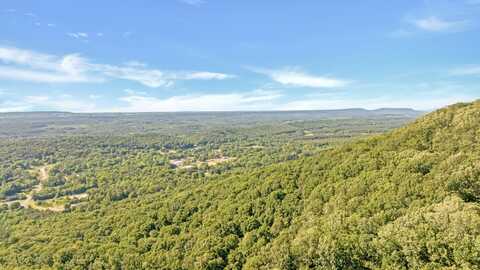 Tract 1 Scenic Highway Lot 1, Mentone, AL 30594