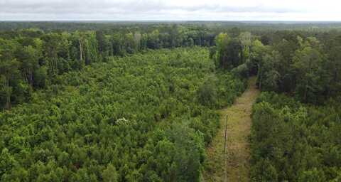 126 Batten Way, Ridgeville, SC 29472