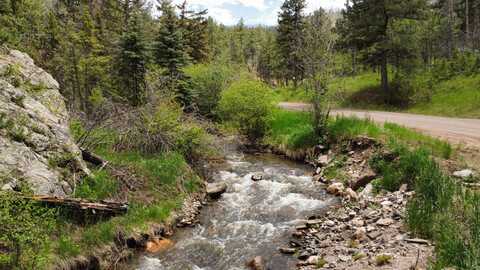 TBD Buckhorn Road, Bellvue, CO 80512