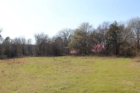 407 Cypress Creek Loop, Valliant, OK 74764