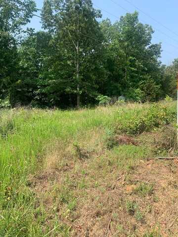 U-1 U-1, Doniphan, MO 63935