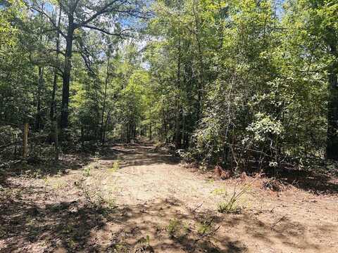 0 Moores Chapel Road, Mauk, GA 31058