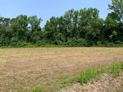 0 Barney Tyler Rd, Hallsboro, NC 28442