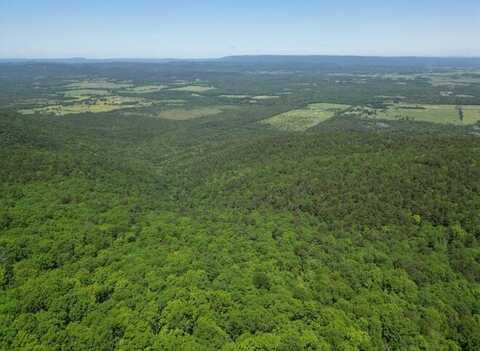 TRACT 37 PIN OAK PATH, Albion, OK 74571