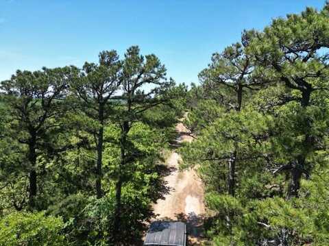 TRACT41 TRAIL RIDGE ROAD, Albion, OK 74571