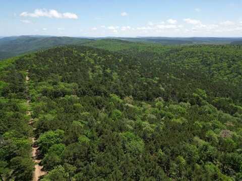 TRACT 38 PIN OAK PATH, Albion, OK 74571