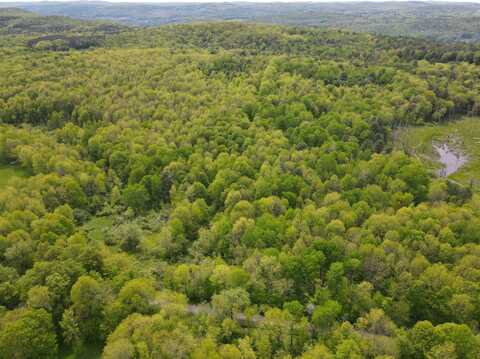 0 Bowen Rd, Cooperstown, NY 13326