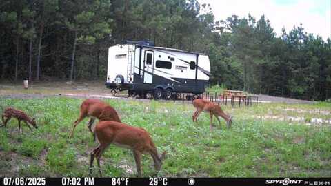 220 Henry Rd, Downsville, LA 71234