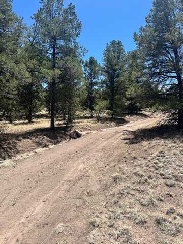 XX Campfire, Datil, NM 87821