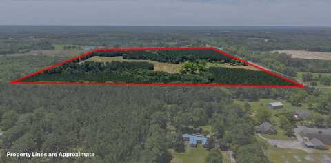 1426 US-231, Brundidge, AL 36010
