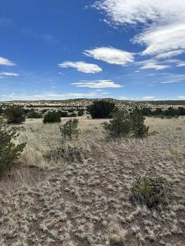 XX Powerline, Quemado, NM 87829