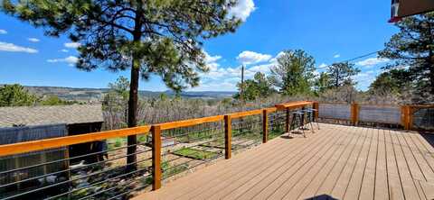 18170 Forest View Rd, Monument, CO 80132