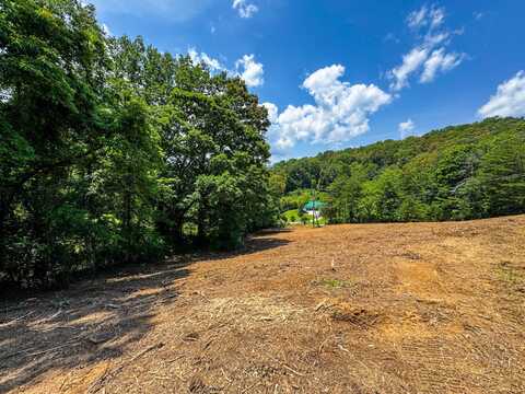 0 Island Cove Rd, Rocky Top, TN 37769