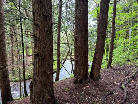 1.5 Jones Road, German, NY 13801