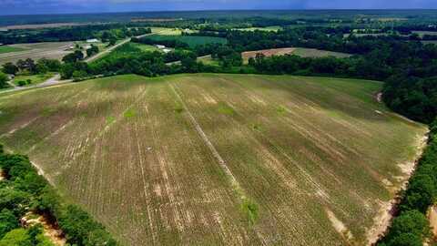 0 North County Rd. 75, Ashford, AL 36312