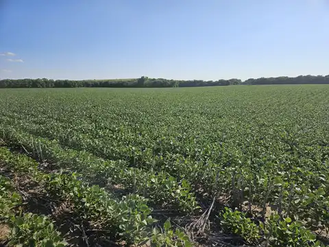 0001 16th Road, Ellsworth, KS 67439