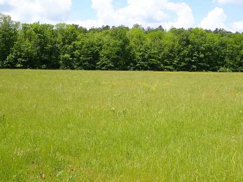 0 County Road 24, Pine Apple, AL 36768
