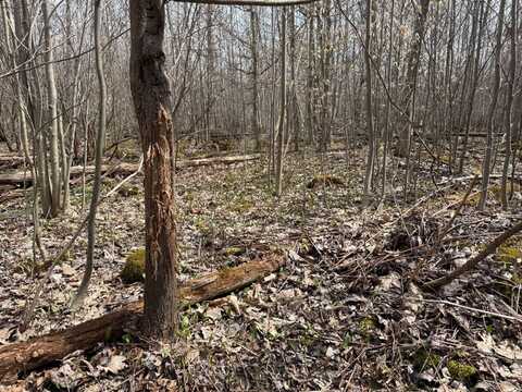 00 Townline Rd, Linesville, PA 16424