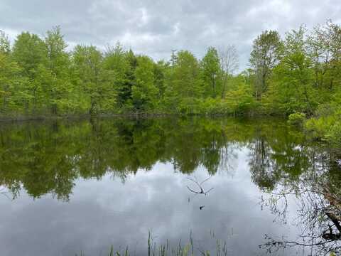 0 White Road, Parish, NY 13131