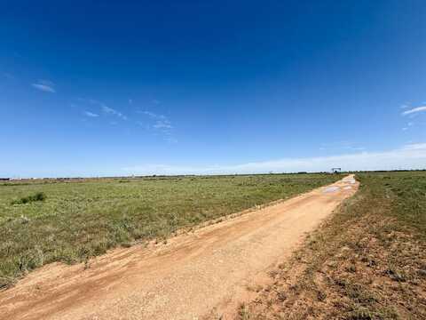 3706 Houston Street, Levelland TX, Levelland, TX 79336