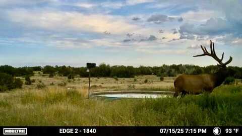 000 CR 40.2, Branson, CO 81027