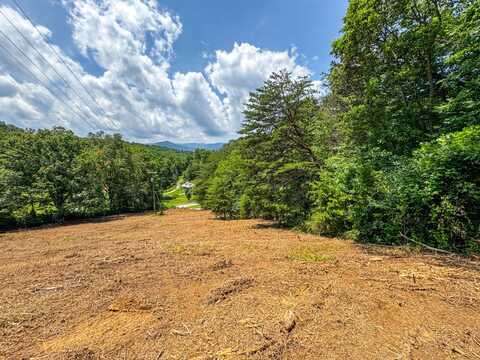 0 Island Cove Rd, Rocky Top, TN 37769