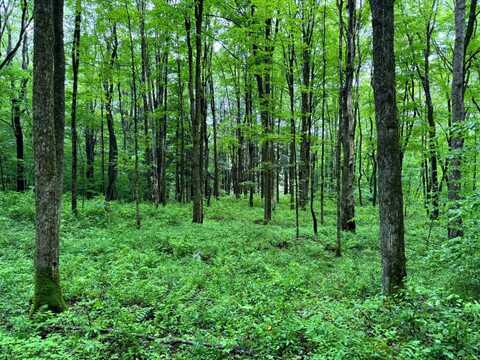 1.3 Jones Rd, German, NY 13801