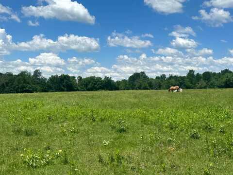 1419 E 2045 Road, Soper, OK 74759