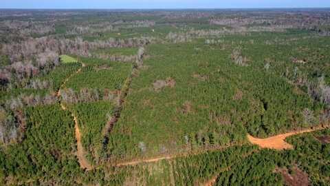 0 Nixon Road, Georgiana, AL 36033