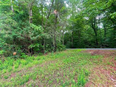 00 Mahixon Road, King William, VA 23106