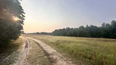 398 Antioch Church Road, Jefferson, SC 29718