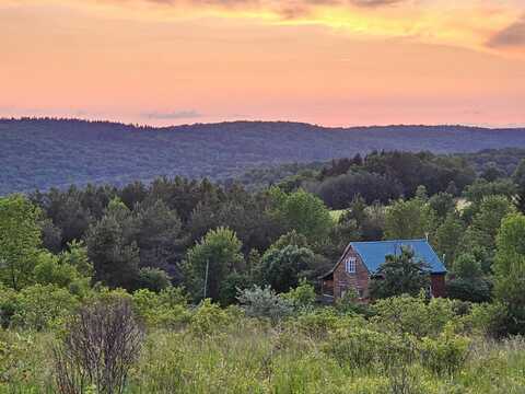 112 Goldenrod Ln, Smyrna, NY 13464
