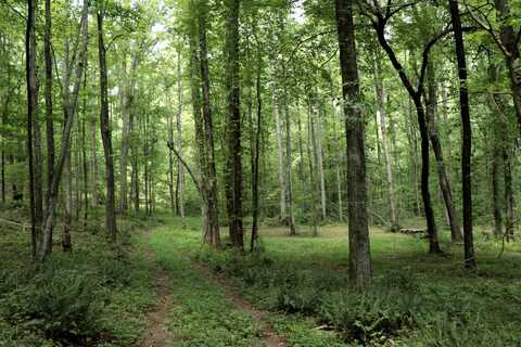 0 CR-66, Goodwater, AL 35072