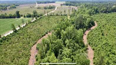 0 Bennett Colter Rd., Cadwell, GA 31009